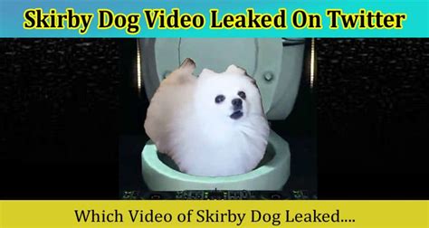 skirby dog video twitter|Skirby dog video Twitter Viral